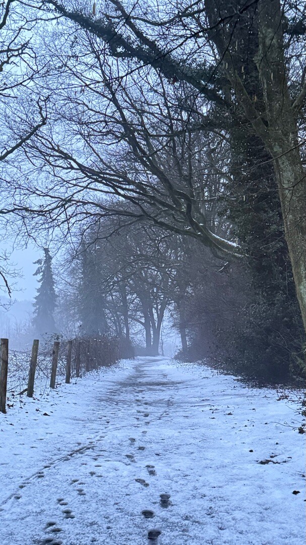 Ommetje Westermeerwijk