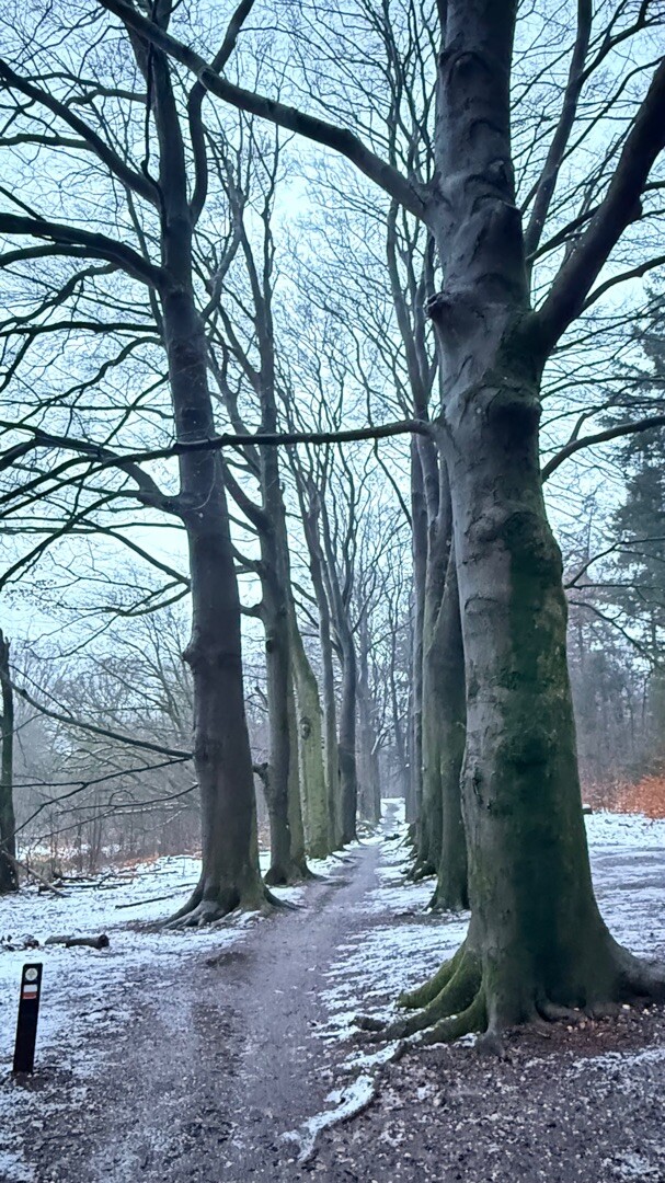 Ommetje Westermeerwijk