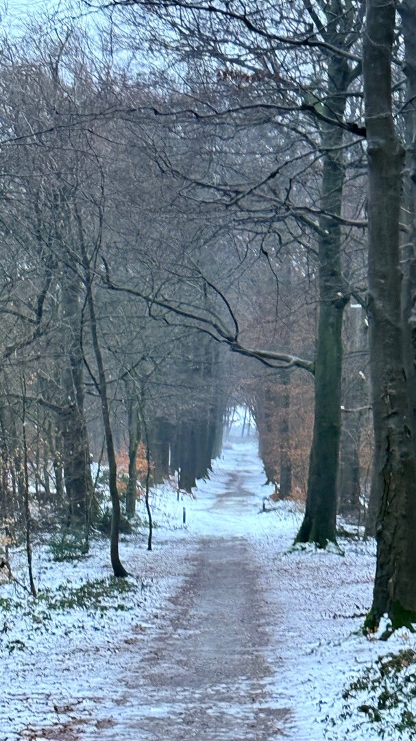 Nijmegen, Traianusplein - Duivelsberg, Berg en Dal · Romeinse Limespad etappe 17