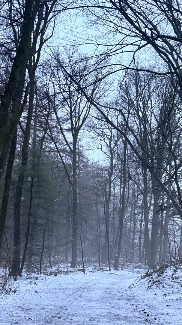 Ommetje Westermeerwijk