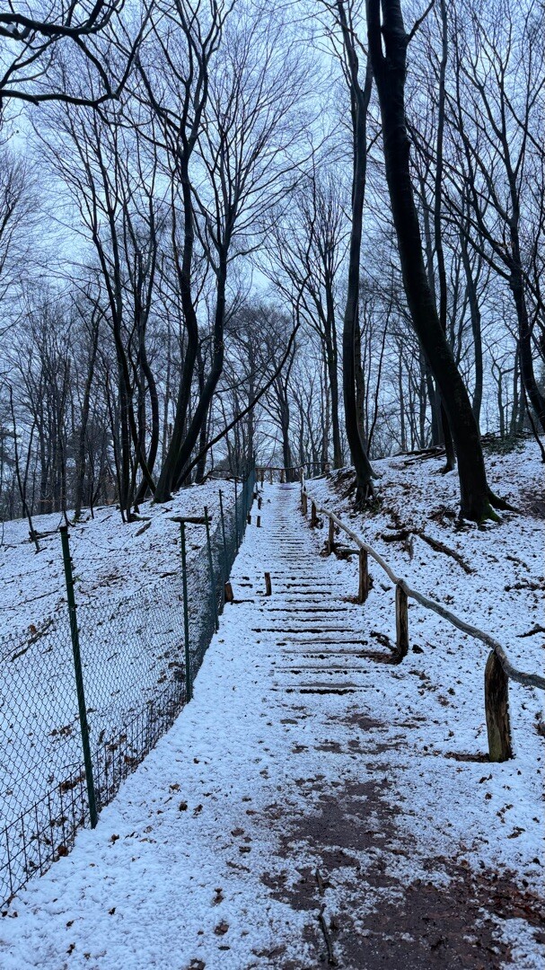 Nijmegen, Traianusplein - Duivelsberg, Berg en Dal · Romeinse Limespad etappe 17