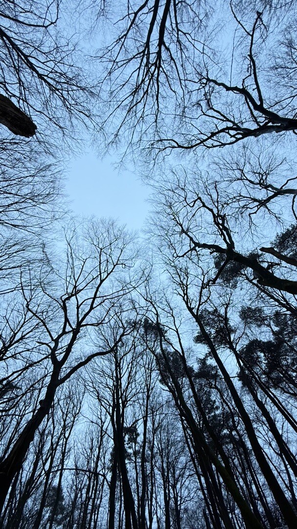 Nijmegen, Traianusplein - Duivelsberg, Berg en Dal · Romeinse Limespad etappe 17