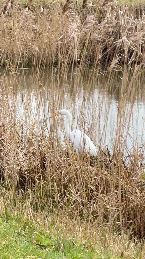 Ommetje Rijkerswoerdseplassen