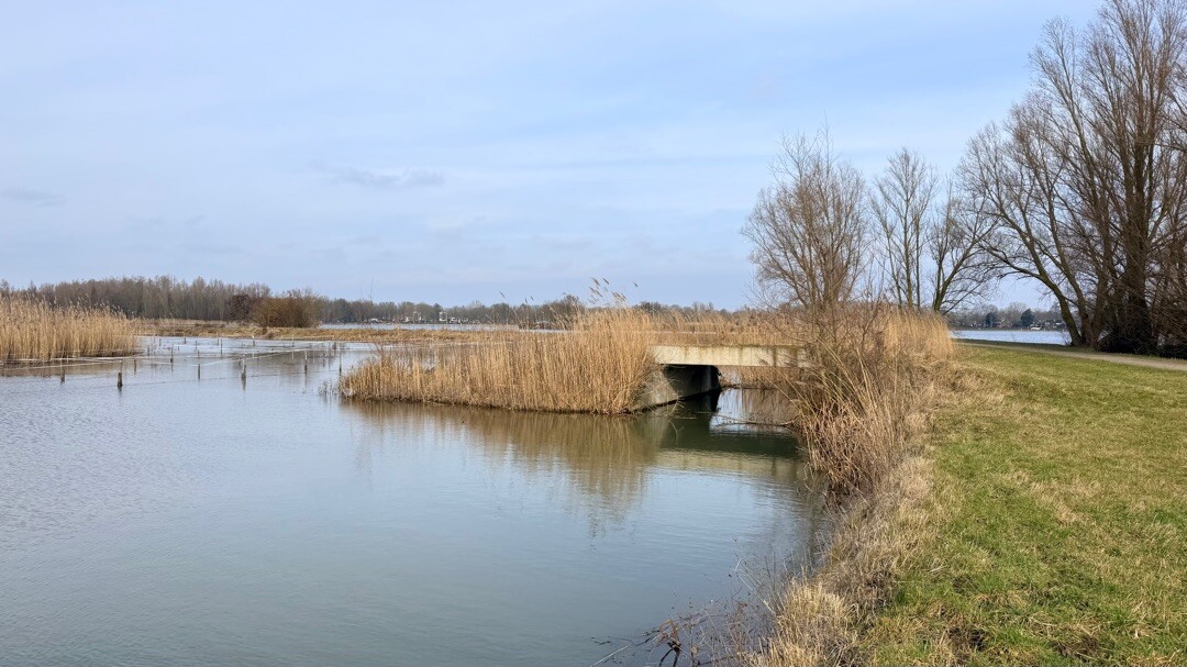 Ommetje Rijkerswoerdseplassen