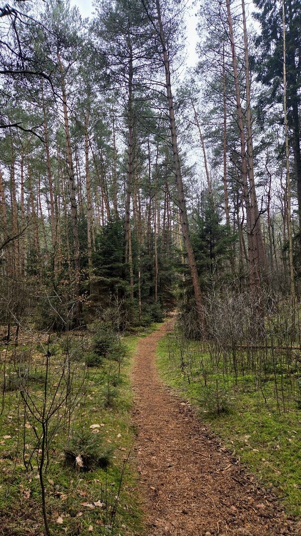 Wandelroute Lheederzand geel