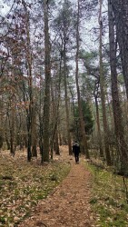 Wandelroute Lheederzand geel
