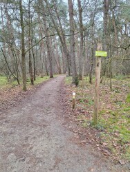 Wandelroute Heidestein