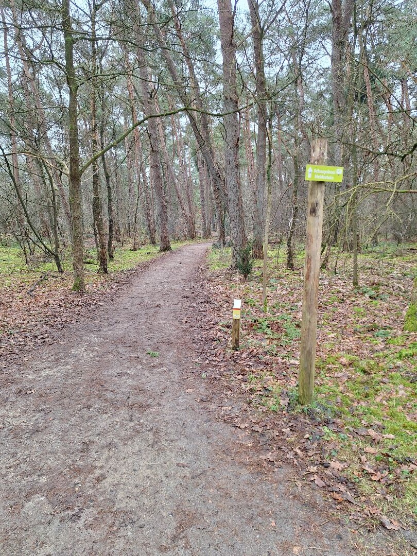 Wandelroute Heidestein