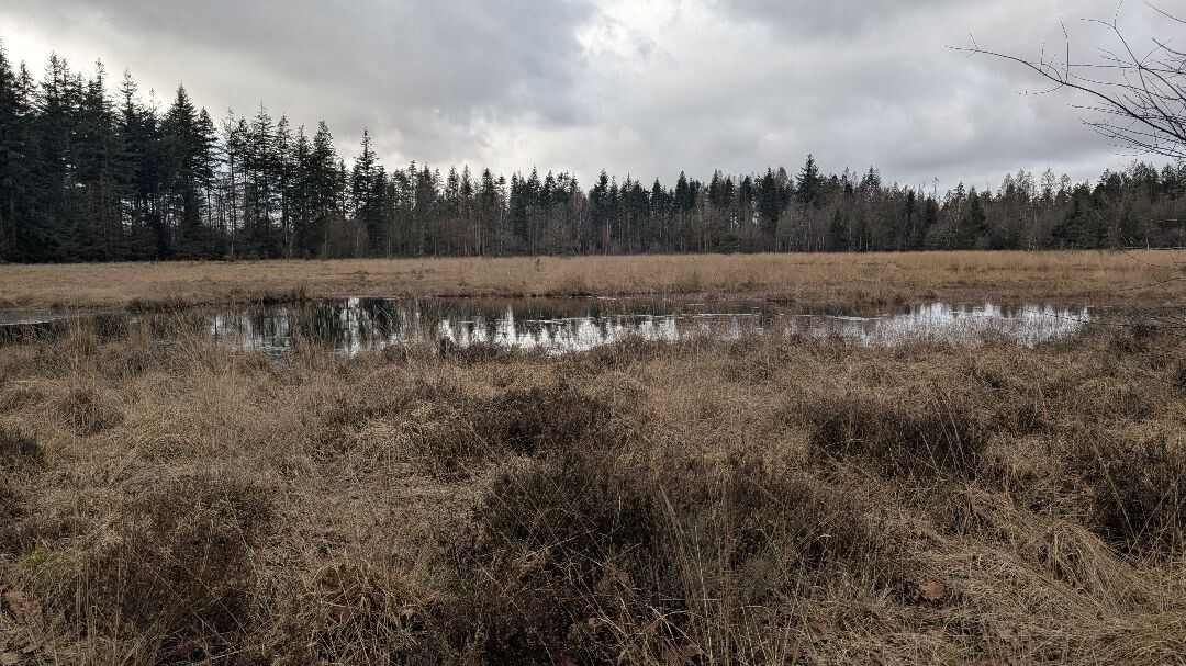 Groene Wissel: Grolloo