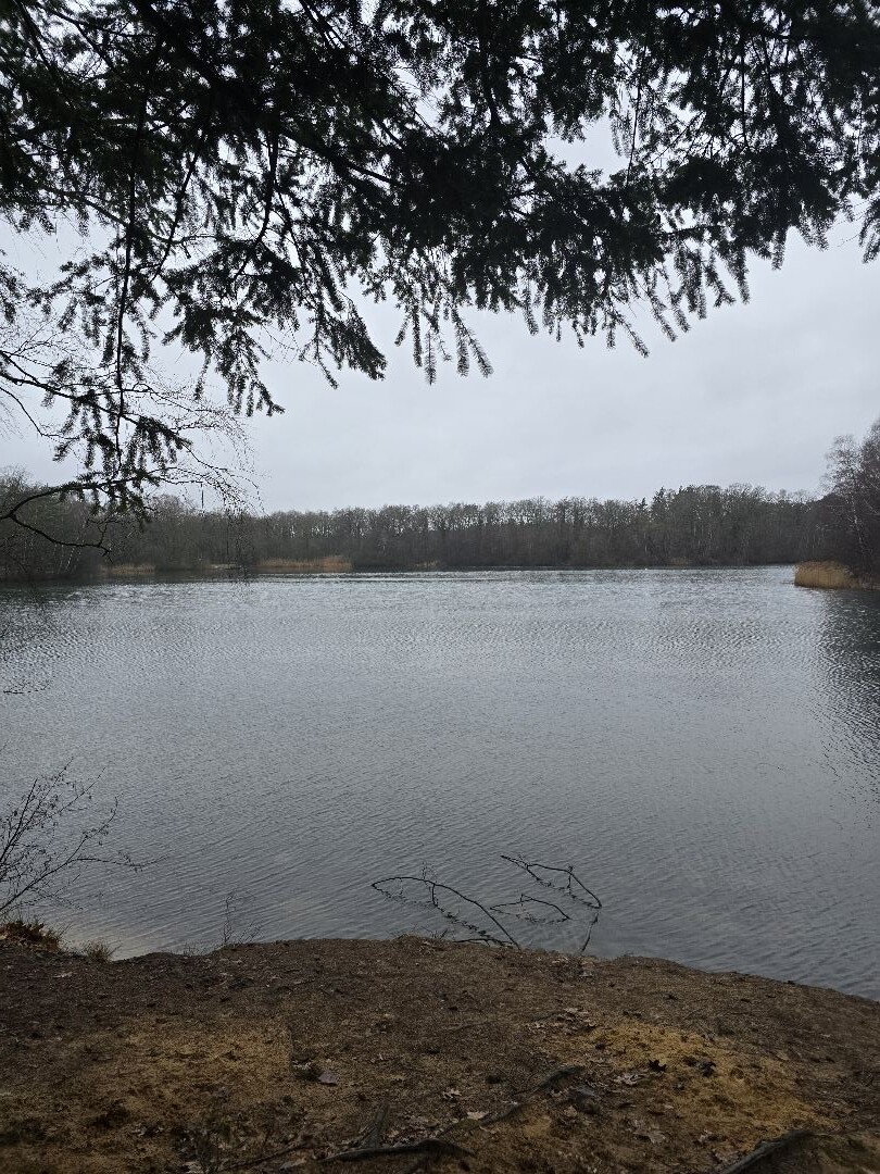 Oldenzaal - Rustige trailrun in de regen - paarse route
