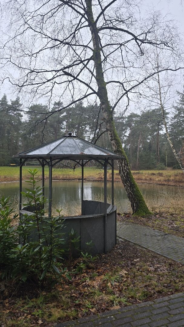 Oldenzaal - Rustige trailrun in de regen - paarse route