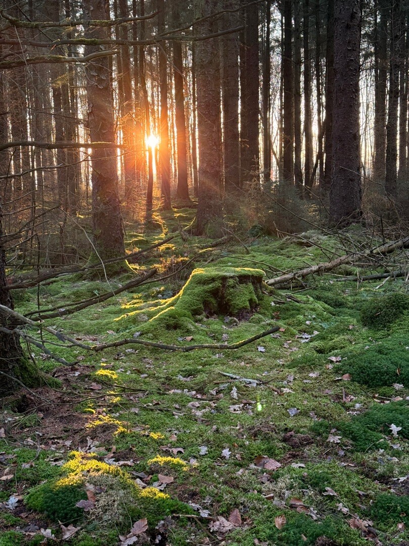 Sleen - Coevorden · Pieterpad etappe 7