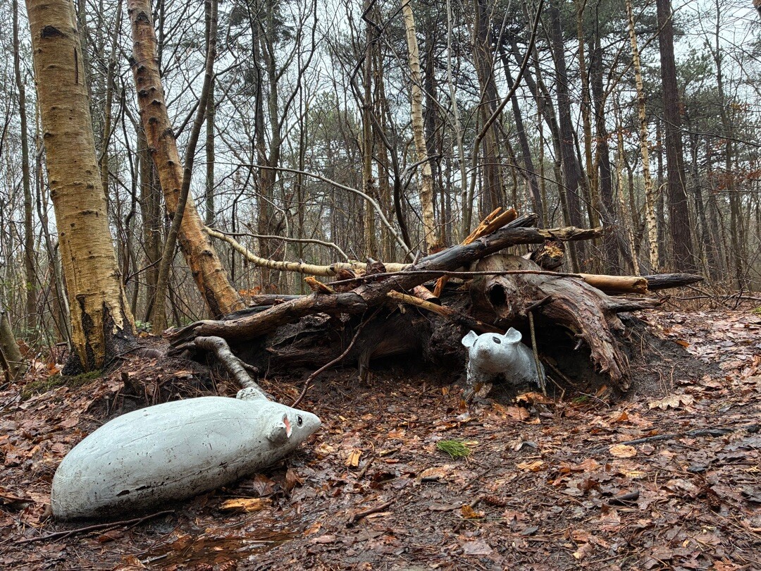 Wandelroute Sommeltjespad