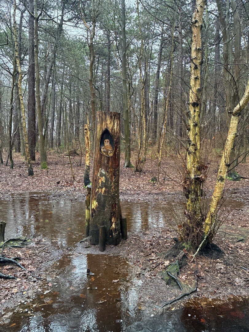 Wandelroute Sommeltjespad