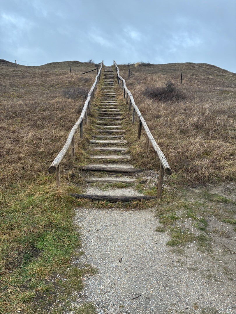 Ommetje Bertusnol (blauw)
