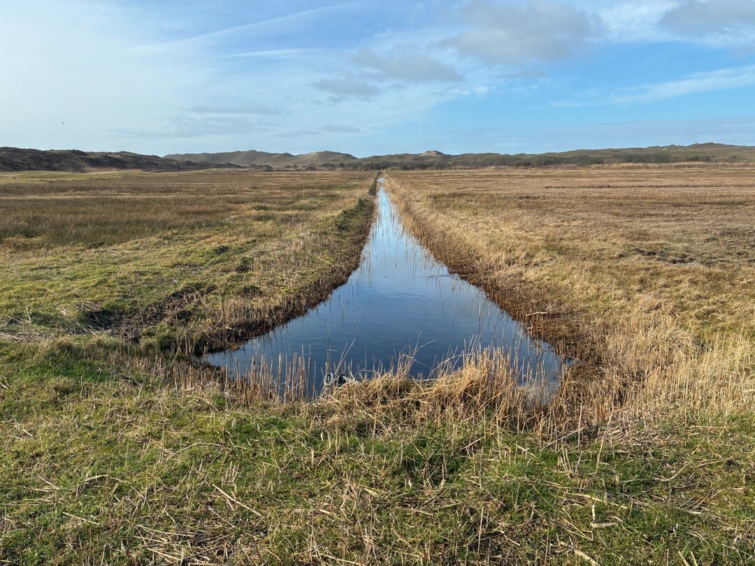 Ommetje Bertusnol (blauw)