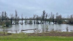 Lienden - Wageningen · Maarten van Rossumpad etappe 7