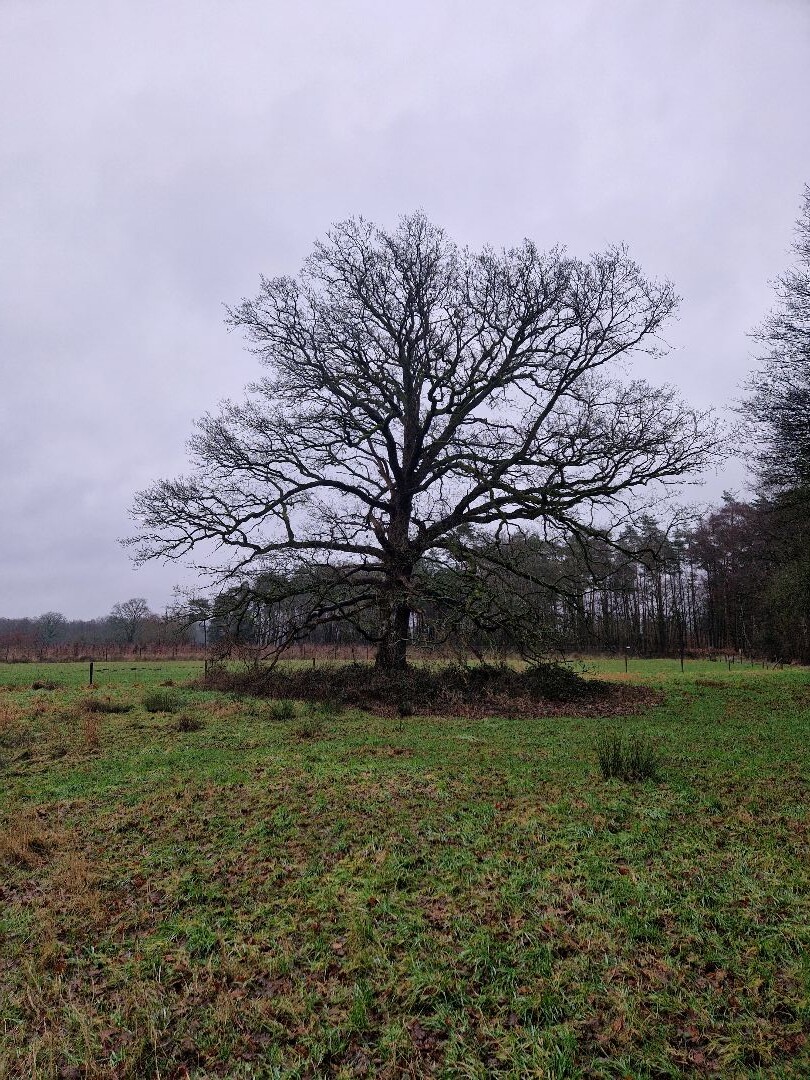 Levenspadwandeling Doetinchem