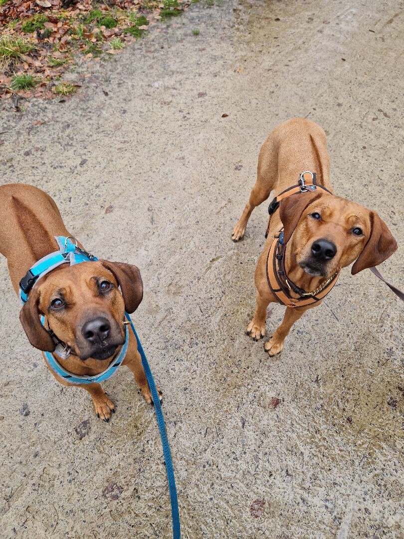 Levenspadwandeling Doetinchem