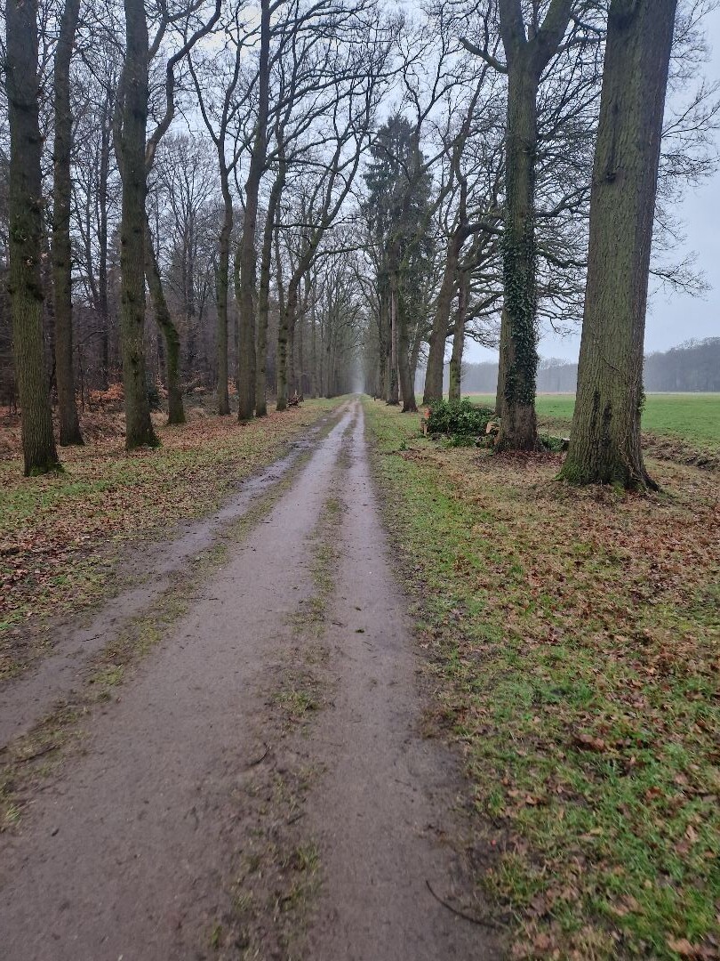 Levenspadwandeling Doetinchem