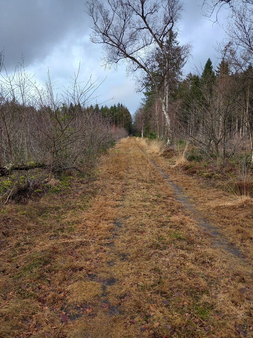 Lunsbergen Meindertsveen