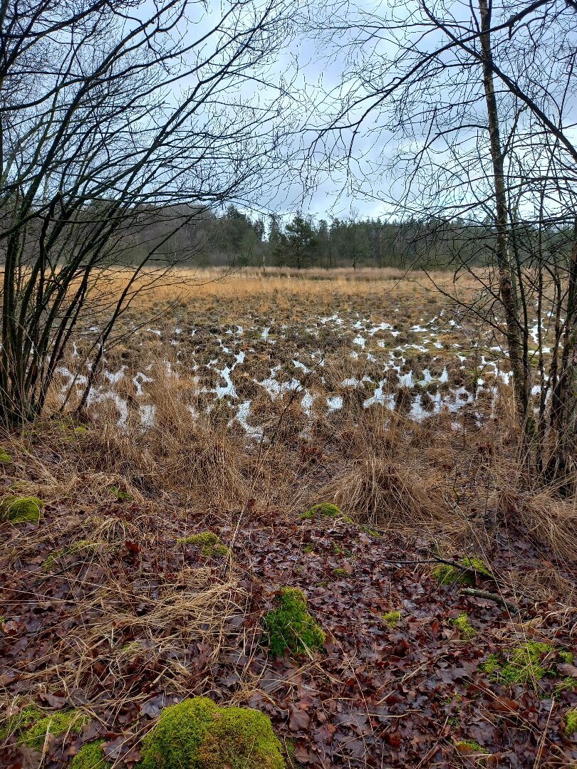 Lunsbergen Meindertsveen