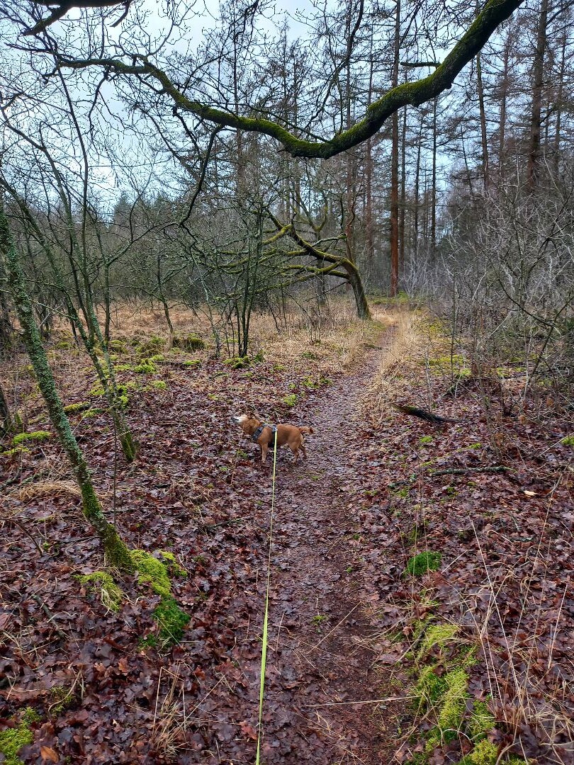 Lunsbergen Meindertsveen