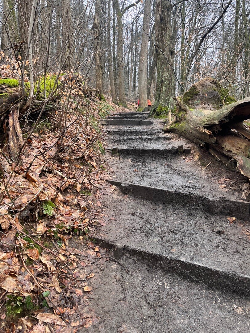 Pieterpad Millingen aan de Rijn - Groesbeek