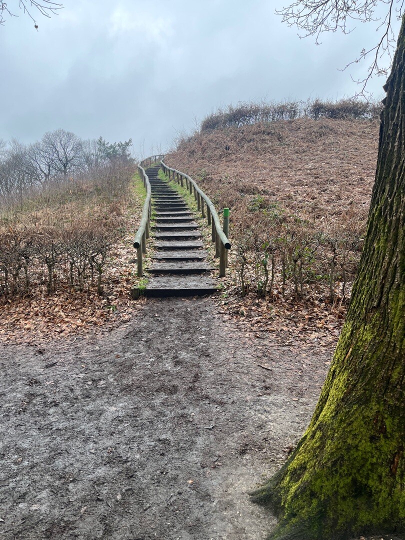 N70 Natuurwandelroute