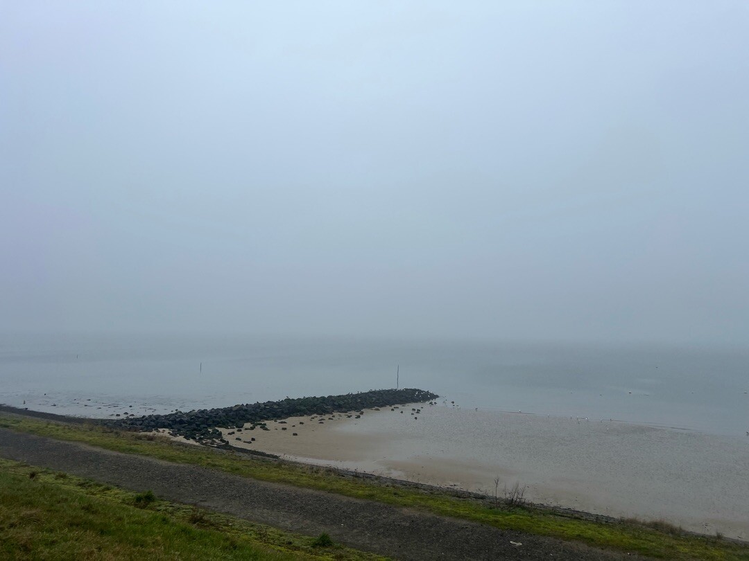 Zilte route langs mosselen en oesters