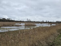 Wandelroute Zwaakse Weel, vlak bij Goes