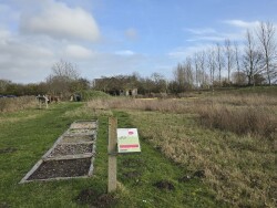 Wandelroute Zwaakse Weel, vlak bij Goes