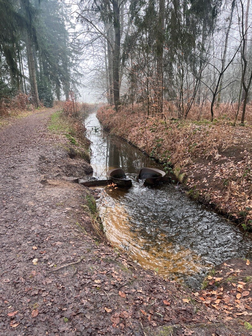 Waterpark Lankheet kinderwandelroute