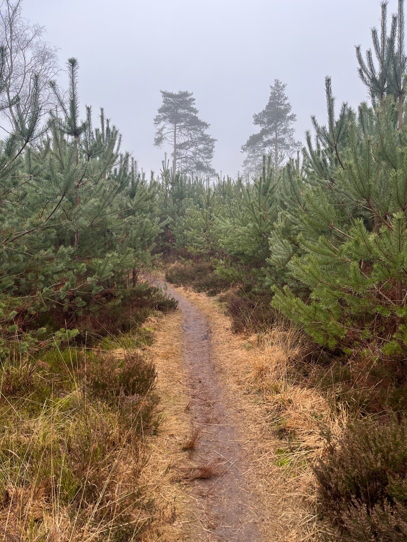 Waterpark Lankheet kinderwandelroute