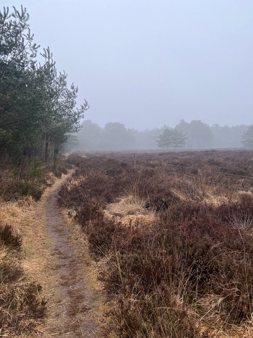 Waterpark Lankheet kinderwandelroute