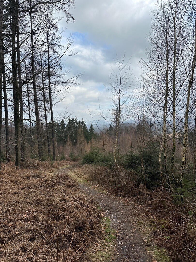 TeutoSchleife Canyon Blick