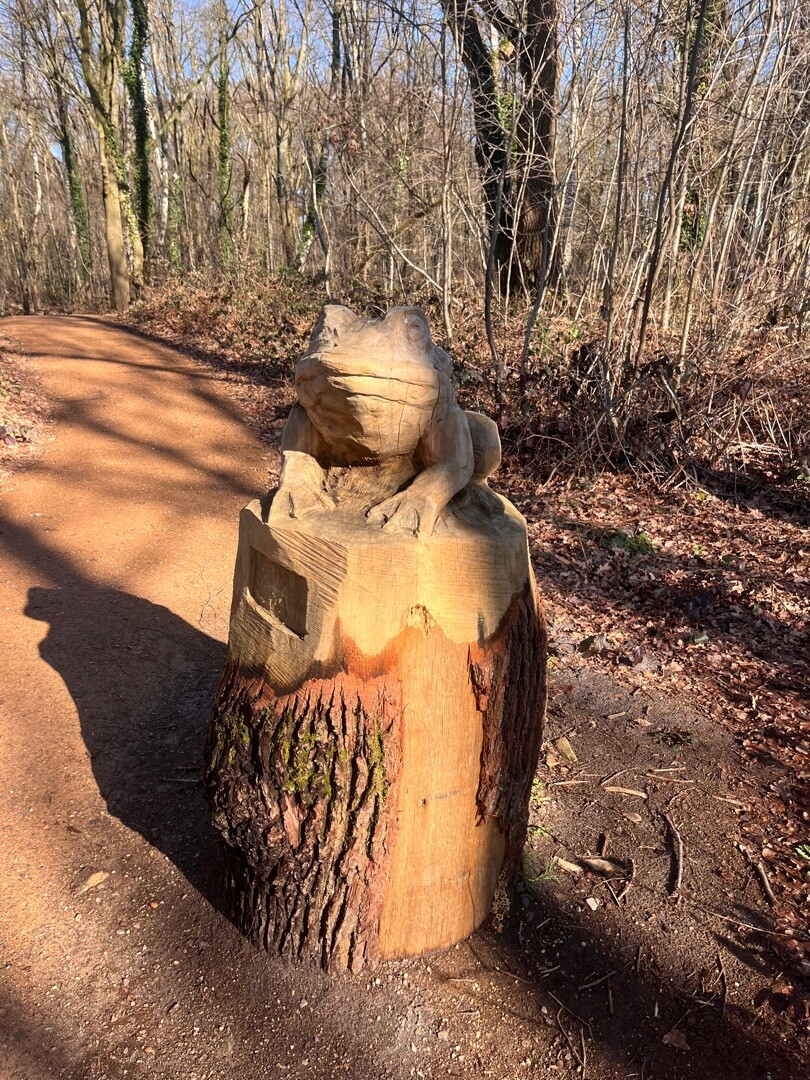 Wandelroute Brunssummerheide (Lichtgroen)