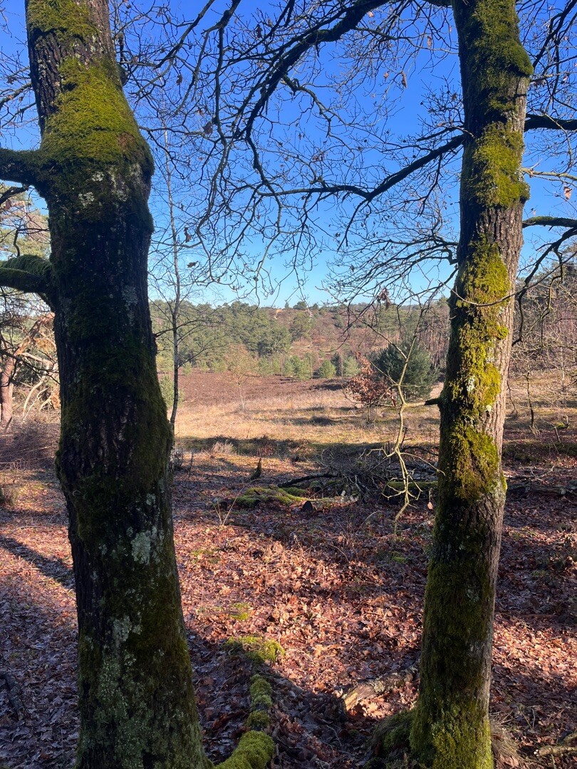 Brunssum - Simpelveld · Rondje Limburg etappe 16