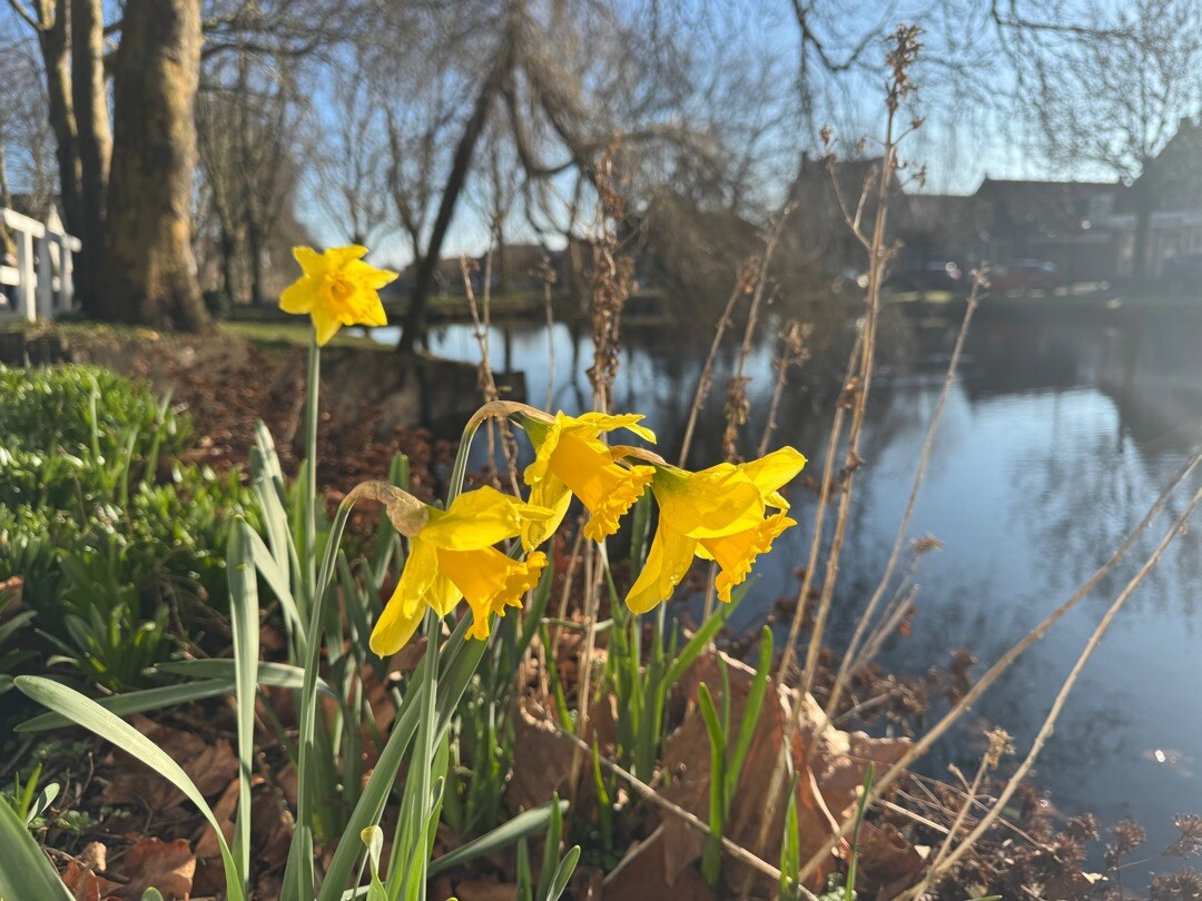 Edam busstation - Monnickendam · Zuiderzeepad etappe 4