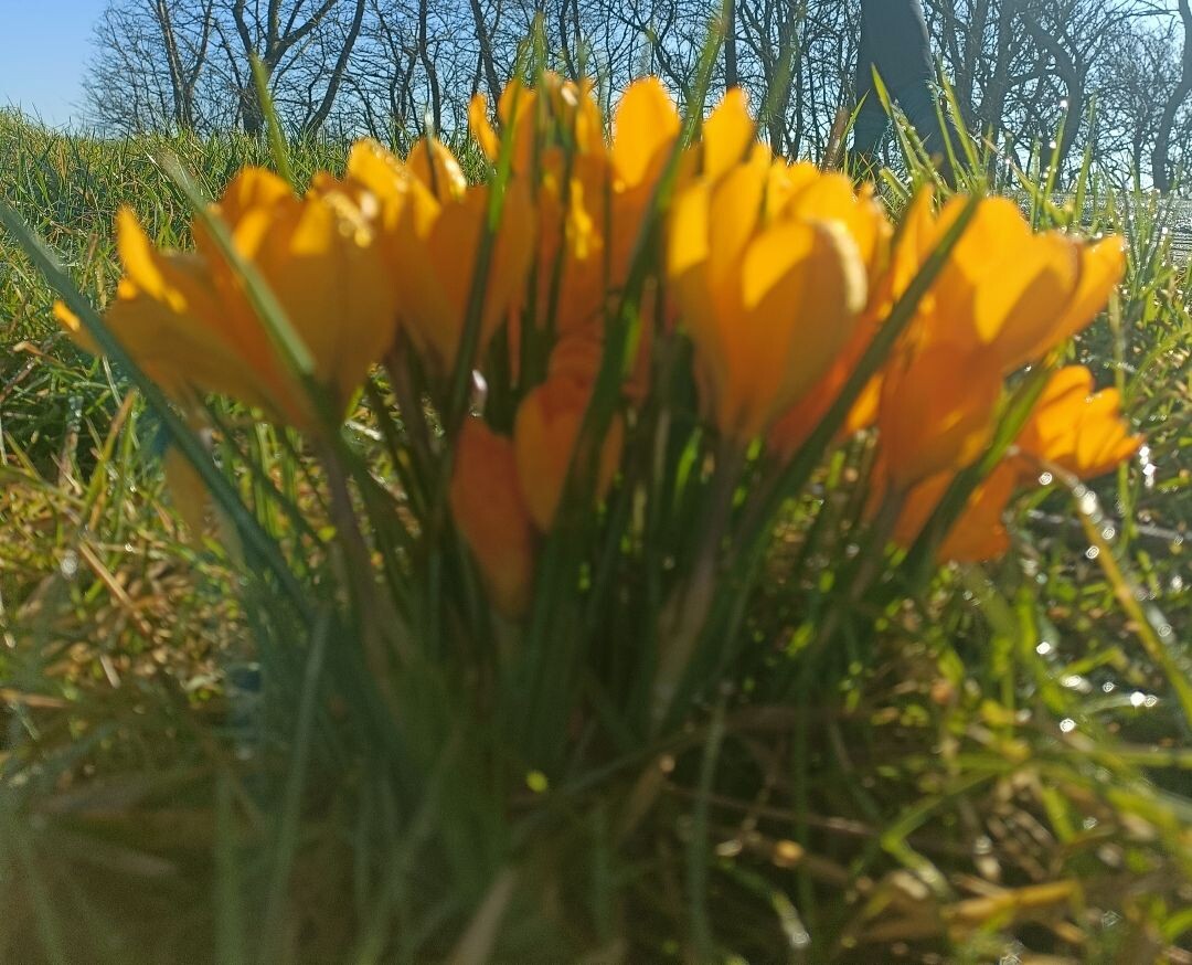 De Waal - Den Helder · Noord-Hollandpad etappe 2