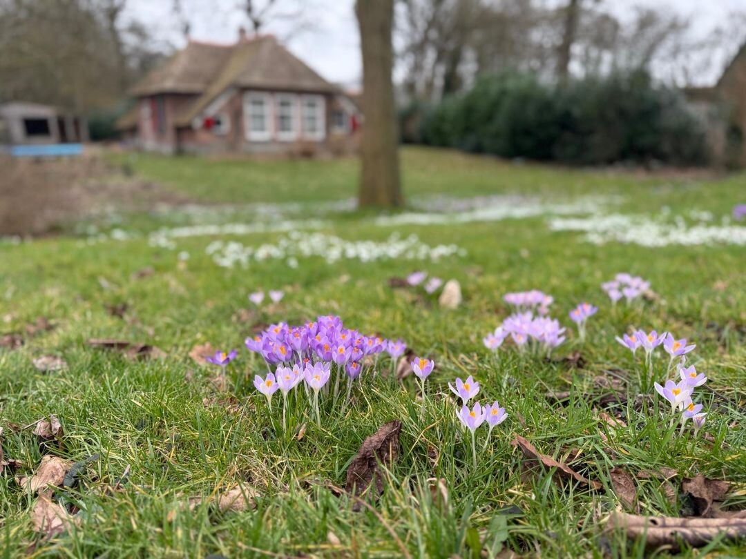 Wijthmen - Hasselt · Overijssels Havezatenpad etappe 11