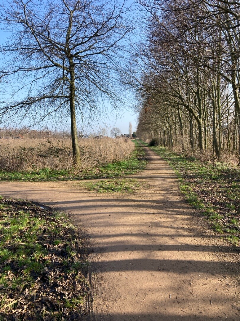 Rondje kanovijver Maassluis