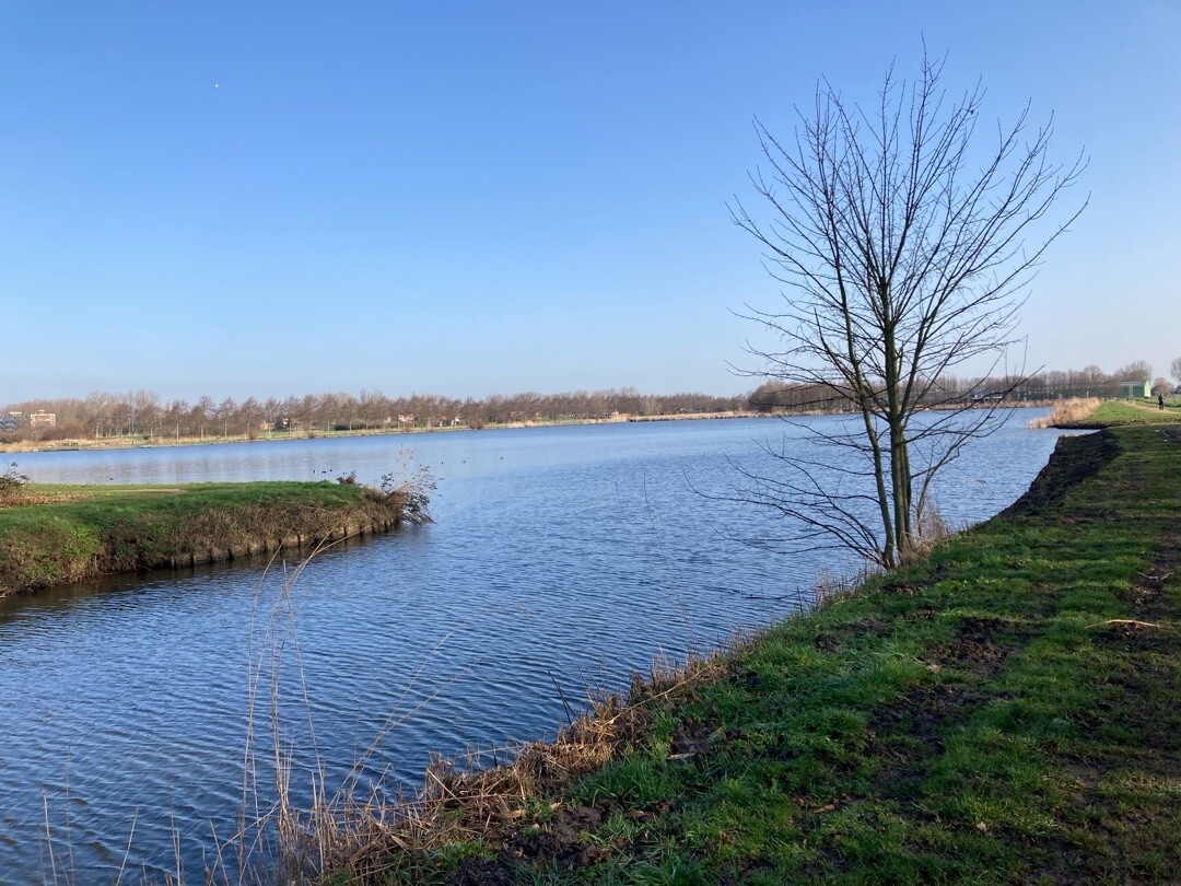 Rondje kanovijver Maassluis