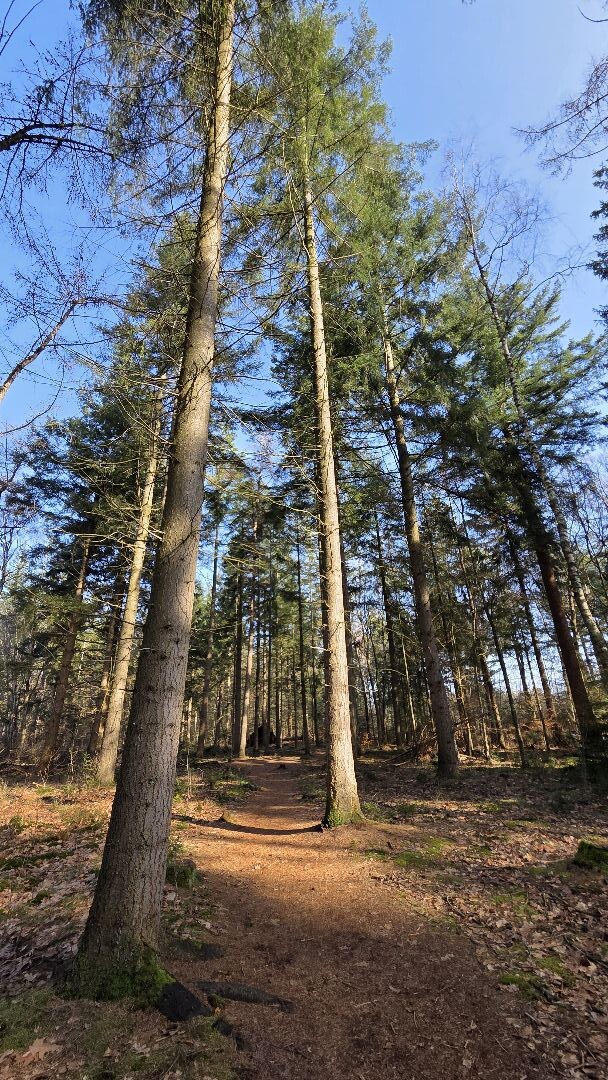 't Gasselterveldroute Blauwe Wandelroute