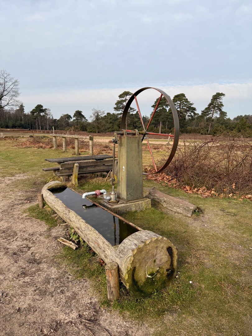 Hardenberg - Ommen · Pieterpad etappe 9