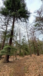 Wandelroute Valtherspaan