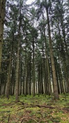 Wandelroute Valtherspaan