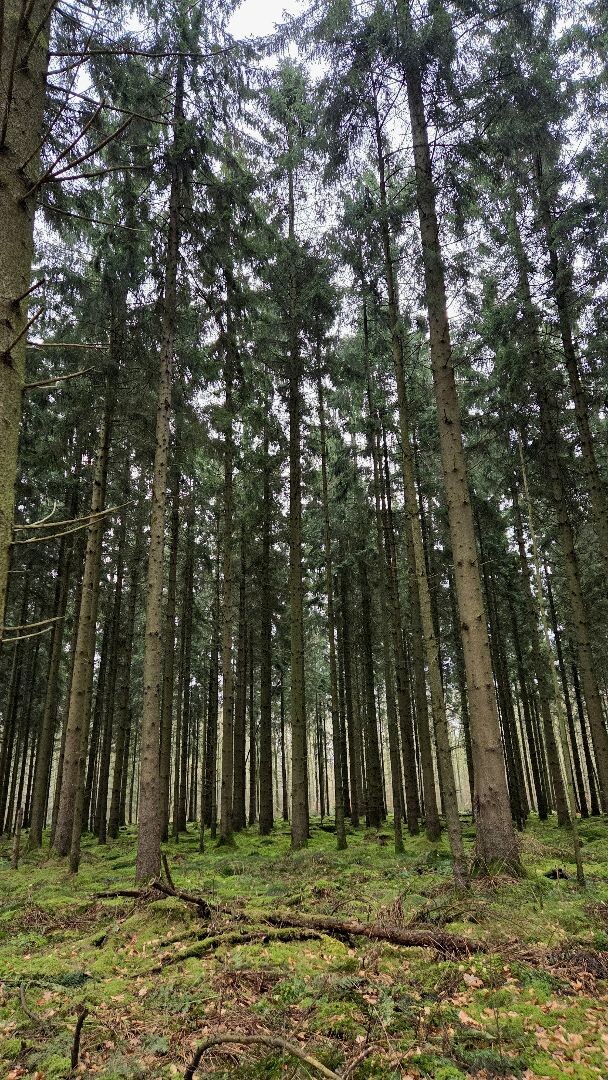 Wandelroute Valtherspaan