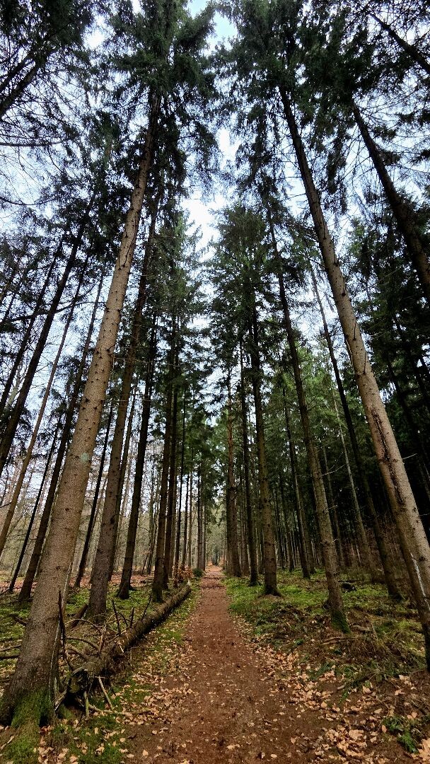 Wandelroute Valtherspaan