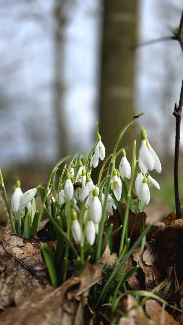 Wandelroute Valtherspaan